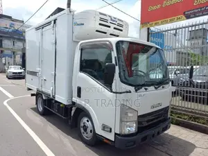 Isuzu Elf 10.5 Freezer MIN30 2018