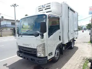 Isuzu Elf 10.5 Freezer MIN30 2018