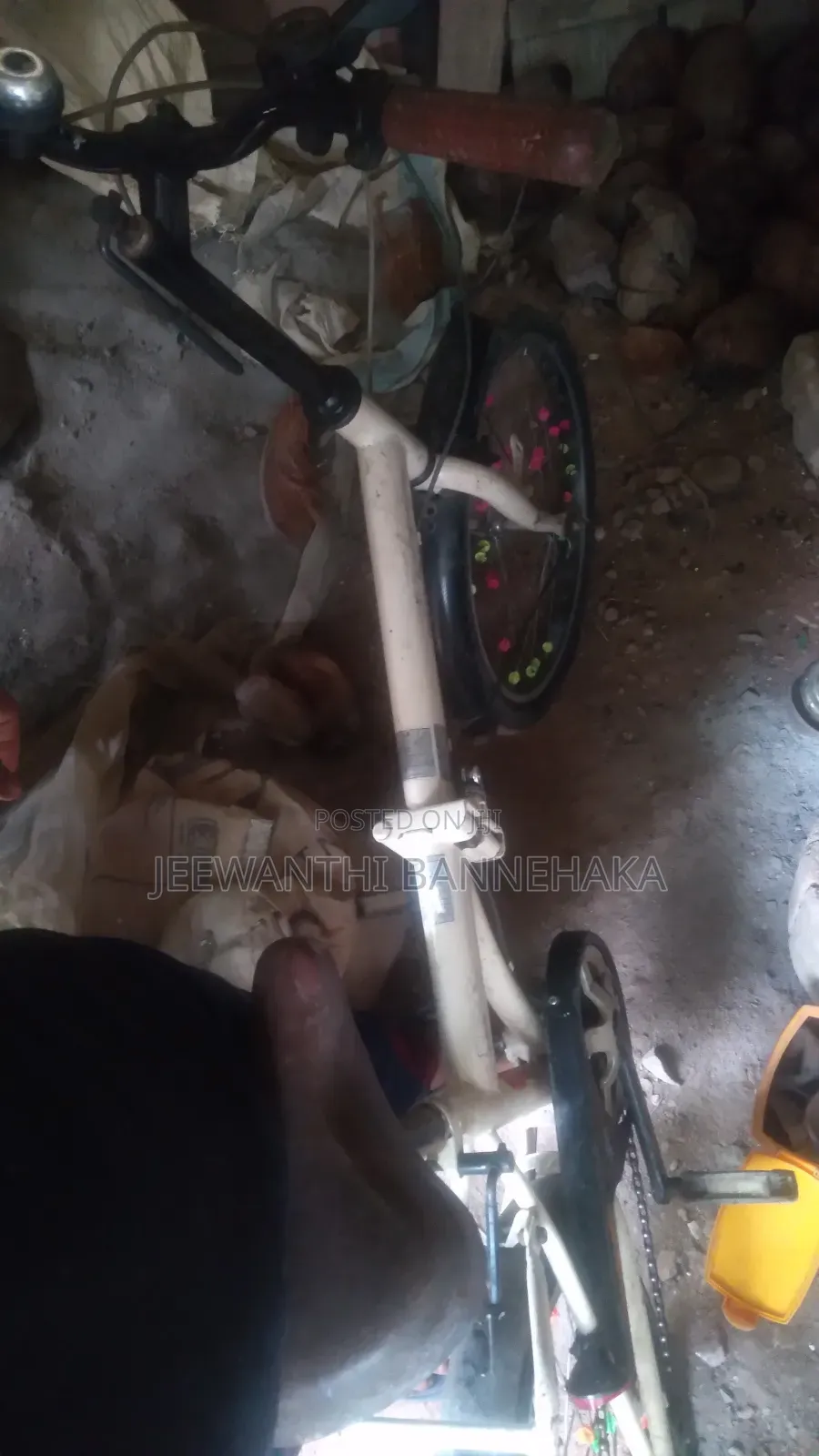 Put Bicycle