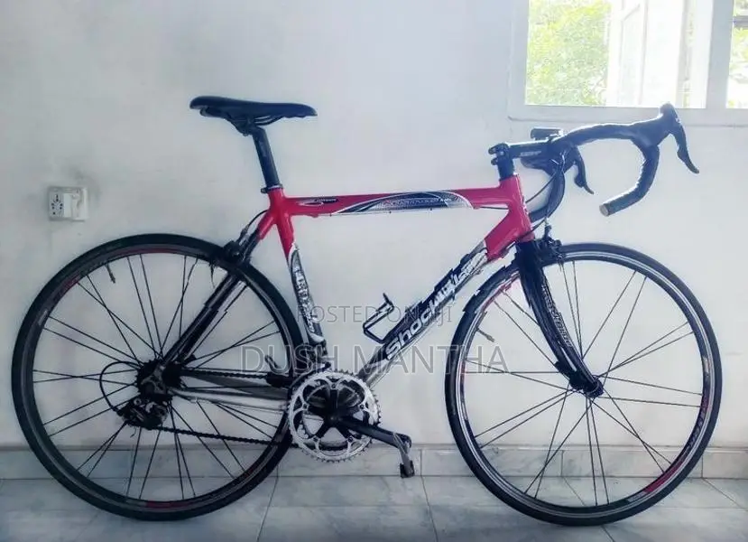 Racing Bicycle