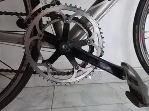 Racing Bicycle