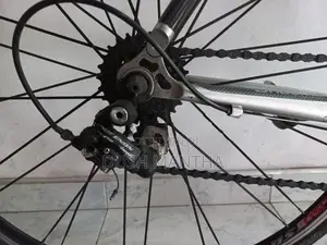 Racing Bicycle