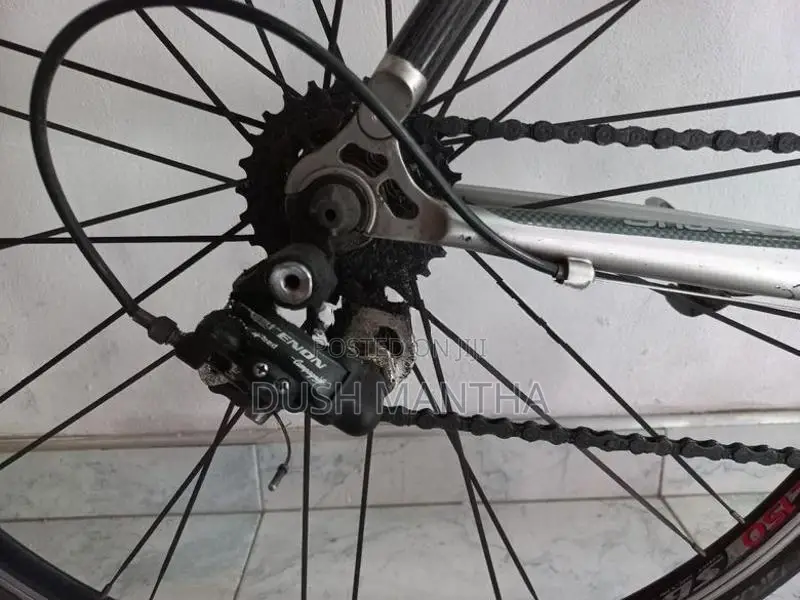 Racing Bicycle