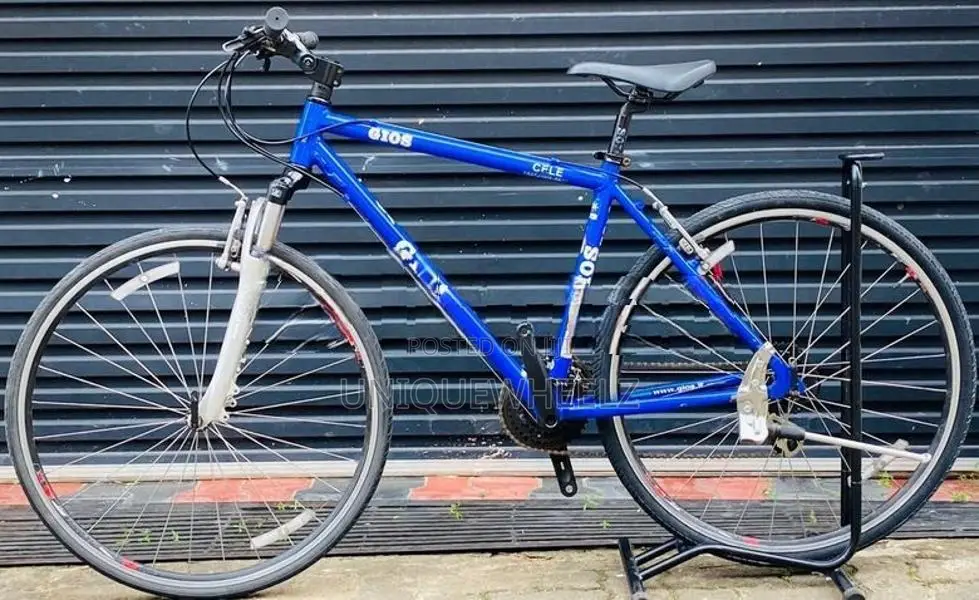 Gios Italy Bicycle