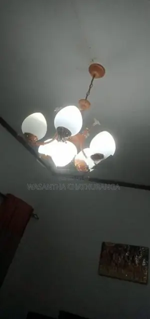 Light Set (Complete)