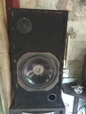 Speaker Set