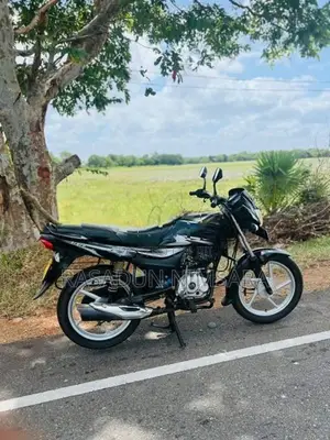 Bajaj Platina 100 2018