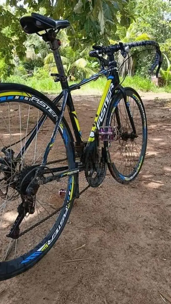 Bicycle