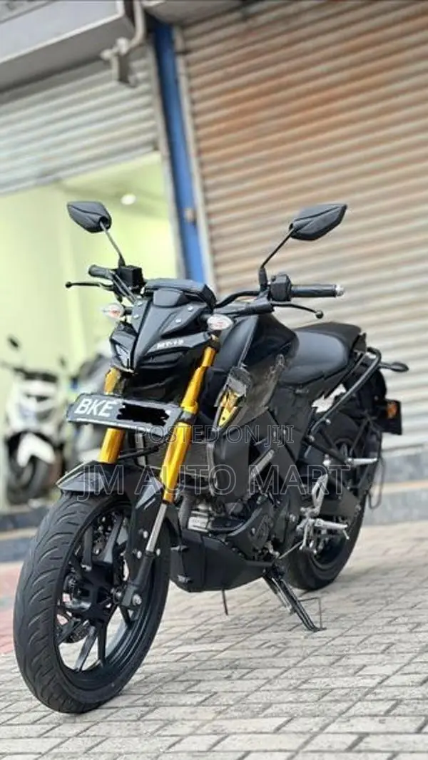 Yamaha MT 15 V2 2025
