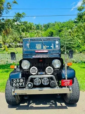 Mitsubishi 4DR 1969