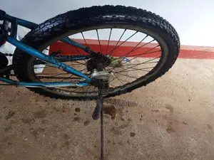 Mountain Bicycle