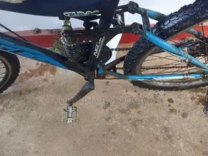 Mountain Bicycle