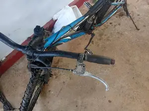 Mountain Bicycle