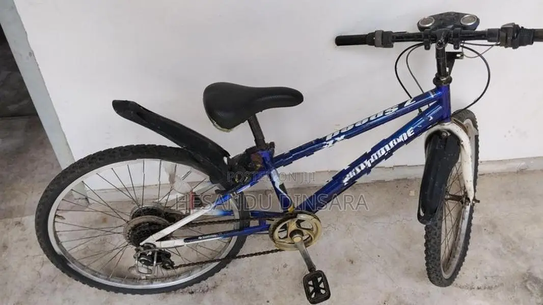 Bicycle