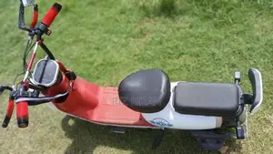 Ather A-Via E Bike 2022