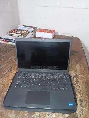 Dell Laptop (latitude 3420)