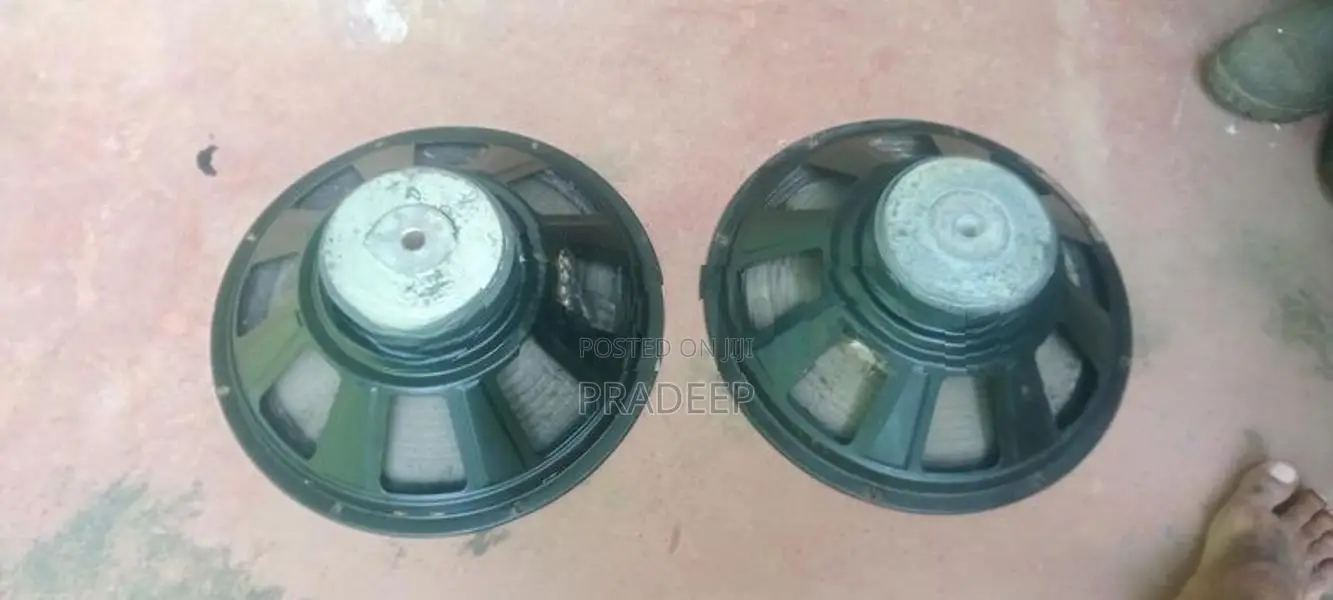Crown 15" Speaker