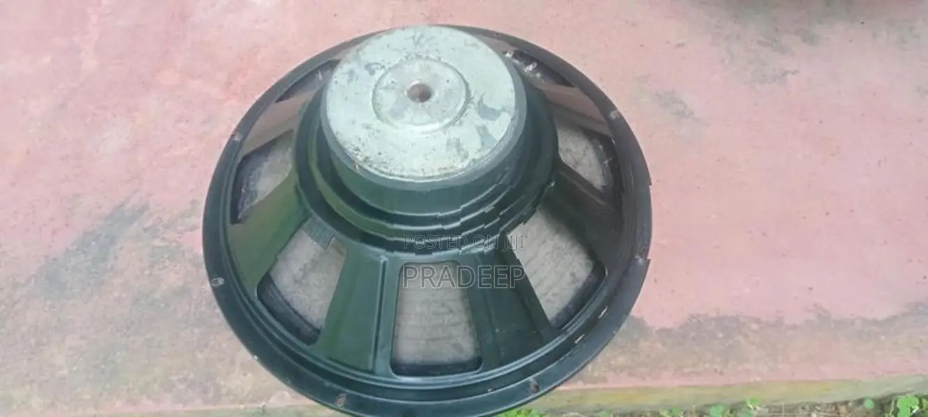 Crown 15" Speaker