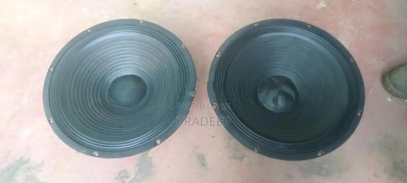 Crown 15" Speaker