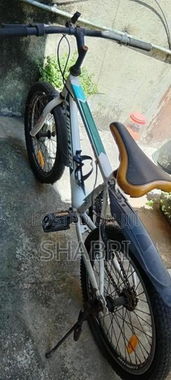 Lumstar Kids Bike