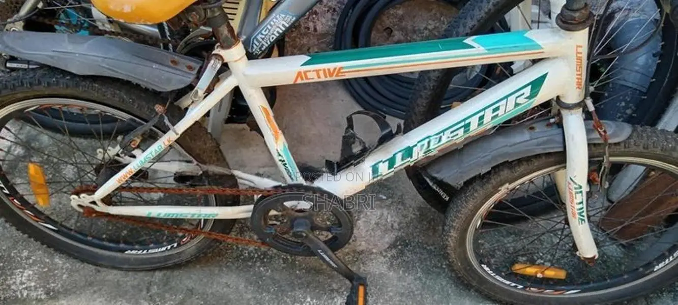Lumstar Kids Bike