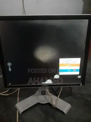 Dell 19" Monitor