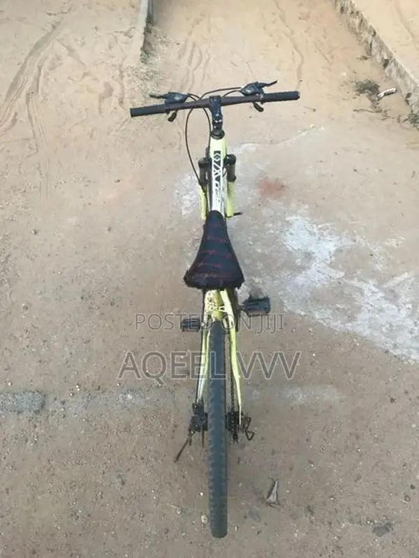Mountain Bicycle