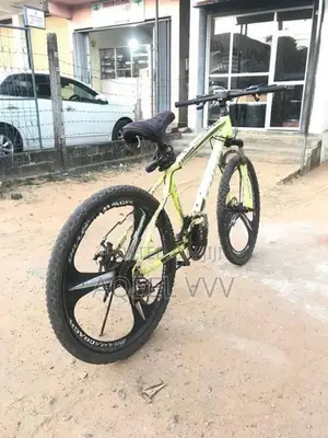Mountain Bicycle