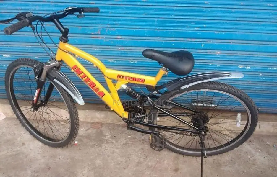 Mountain Bicycle