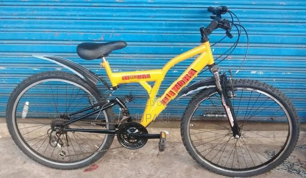 Mountain Bicycle
