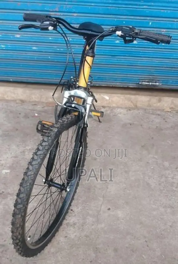 Mountain Bicycle