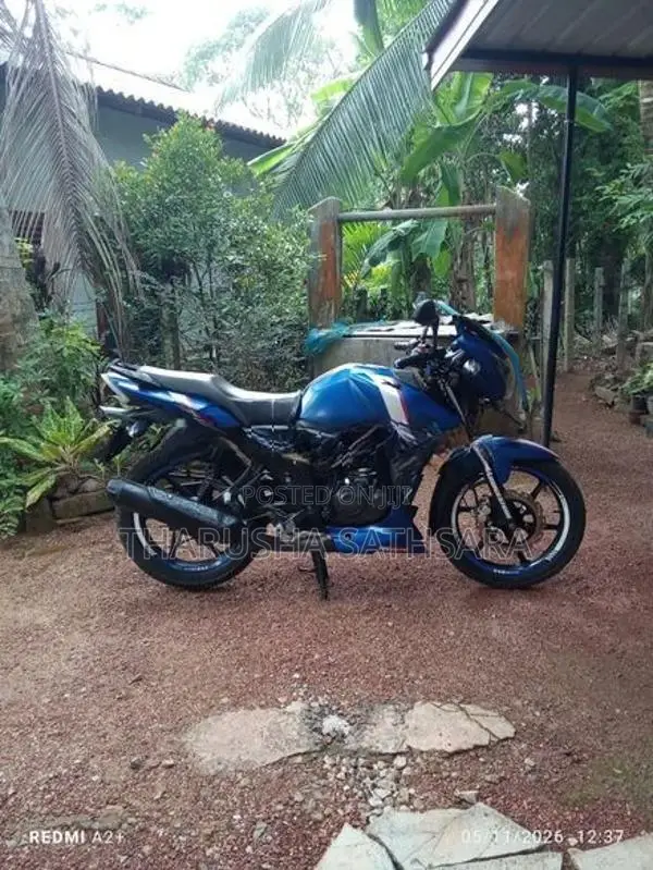 TVS Apache RTR 160 2019