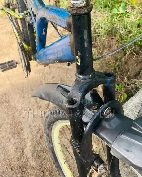 Bicycle