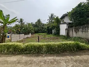 20 Perch Land for Sale in Pinnawala