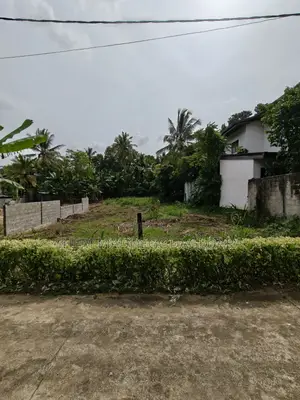 20 Perch Land for Sale in Pinnawala