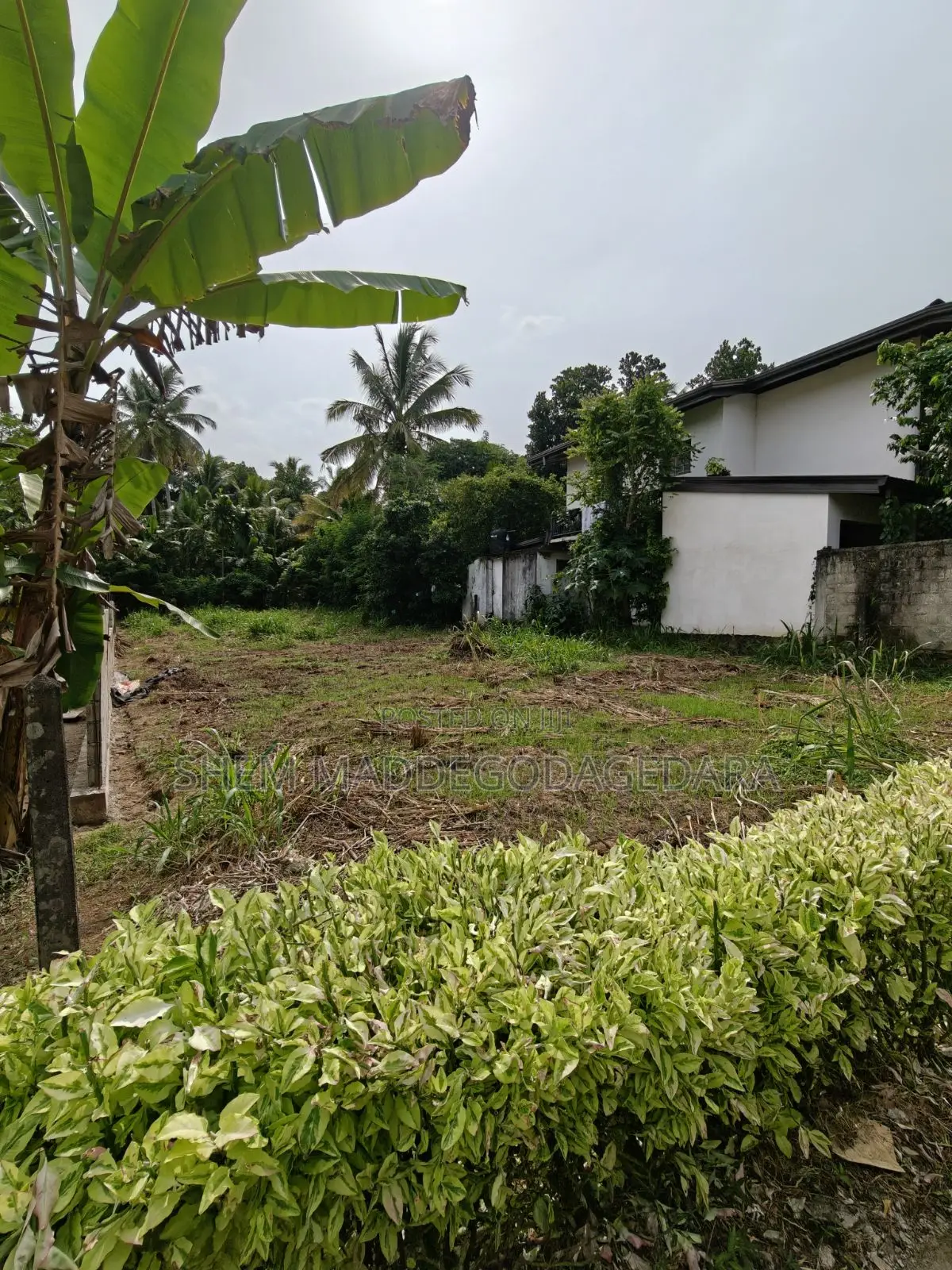 20 Perch Land for Sale in Pinnawala