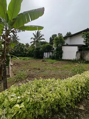 20 Perch Land for Sale in Pinnawala