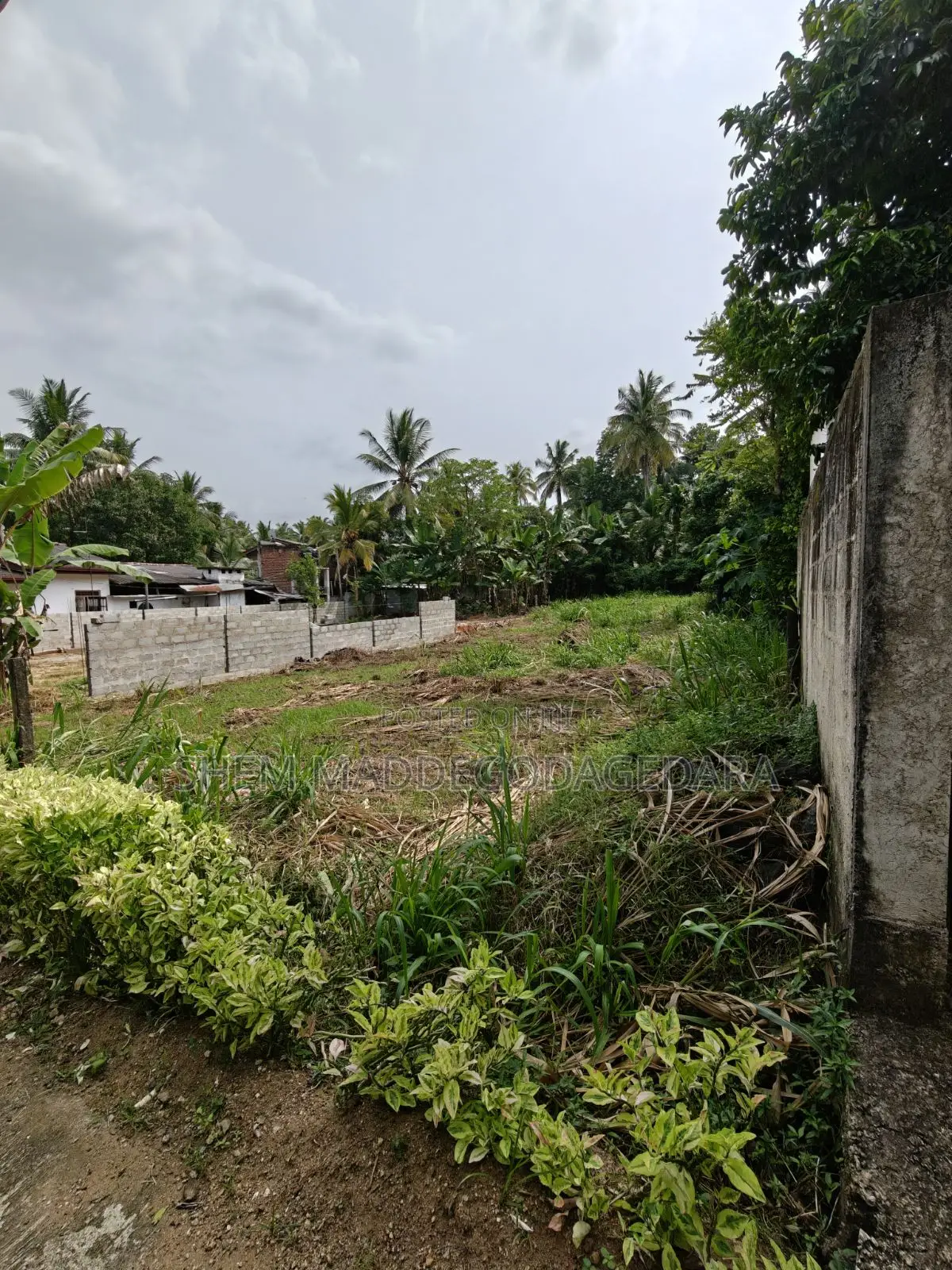20 Perch Land for Sale in Pinnawala