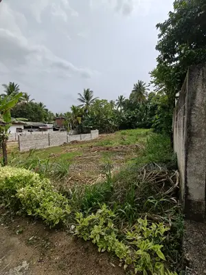 20 Perch Land for Sale in Pinnawala