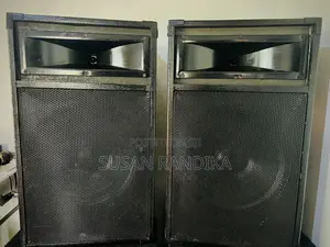Speaker 15 Inch