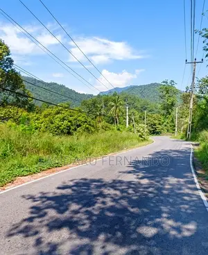 Spacious Commercial Land for Sale in Kitulgala [P396]