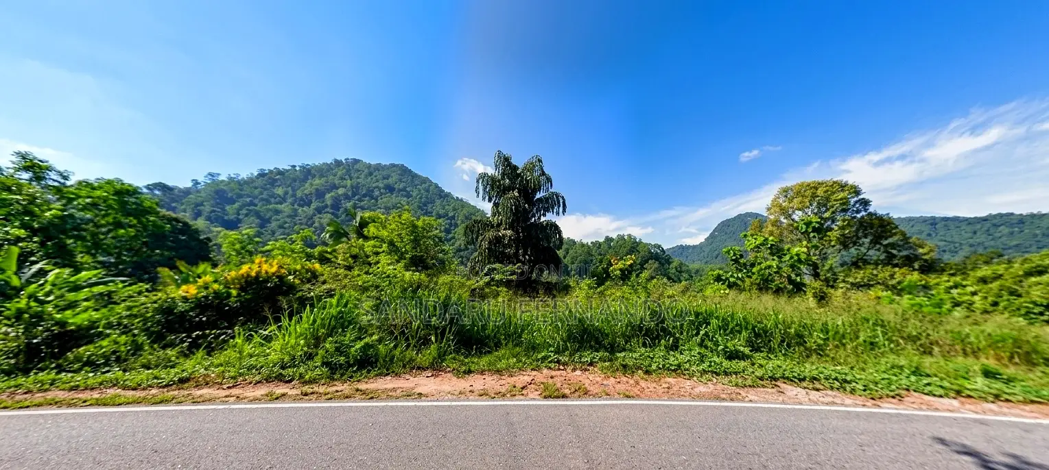 Spacious Commercial Land for Sale in Kitulgala [P396]