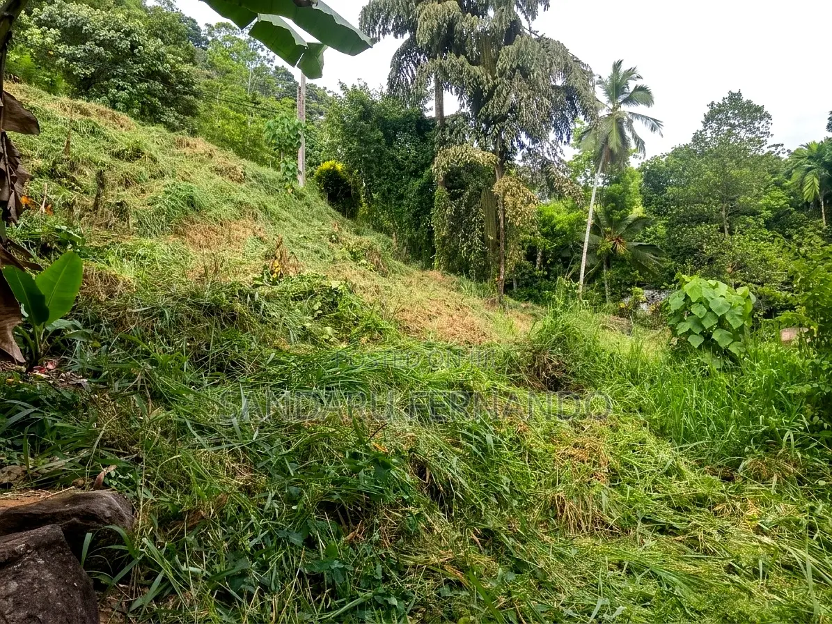 Spacious Commercial Land for Sale in Kitulgala [P396]