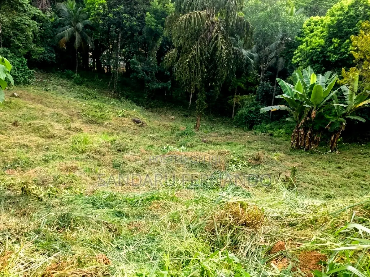 Spacious Commercial Land for Sale in Kitulgala [P396]