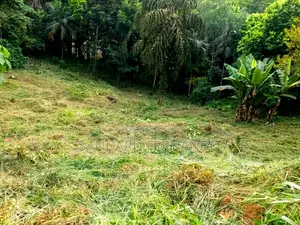 Spacious Commercial Land for Sale in Kitulgala [P396]