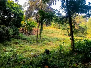 Spacious Commercial Land for Sale in Kitulgala [P396]