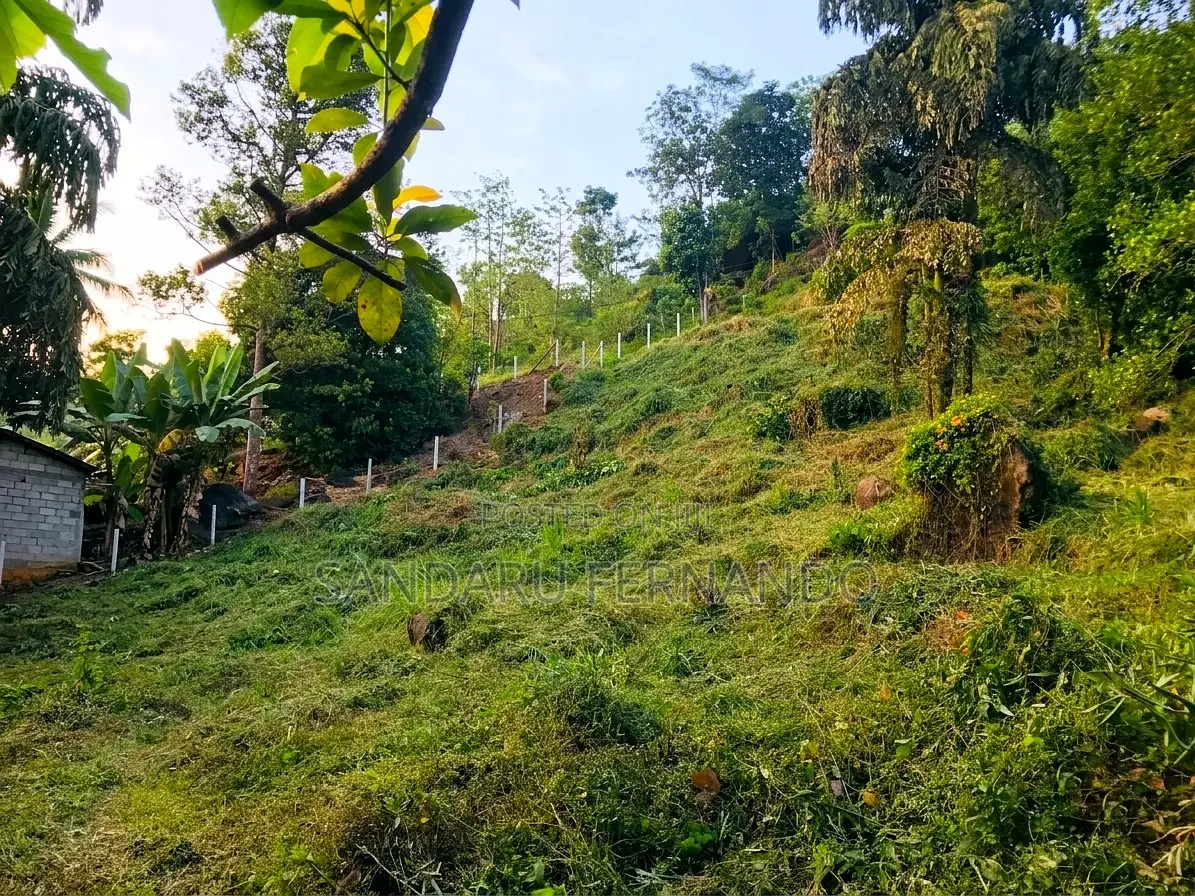 Spacious Commercial Land for Sale in Kitulgala [P396]