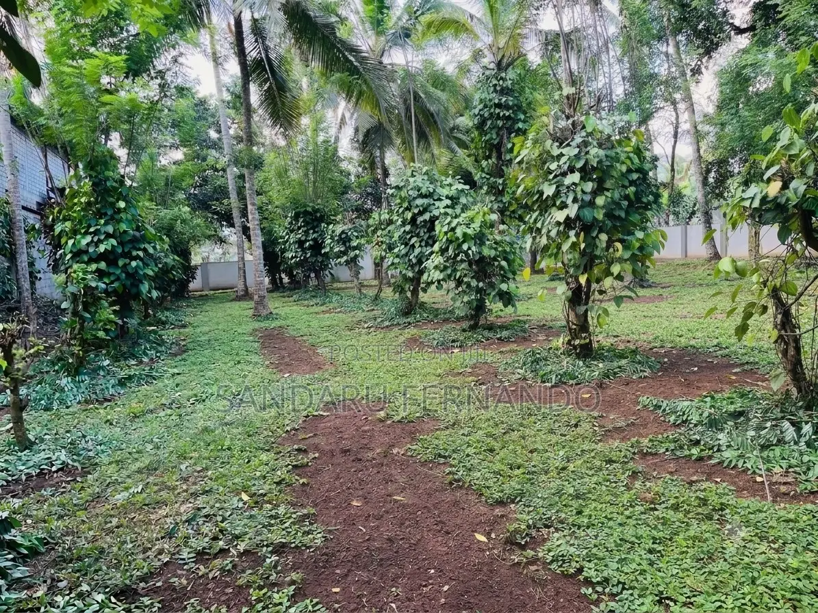 Residential Land for Sale in Hokandara [P399]