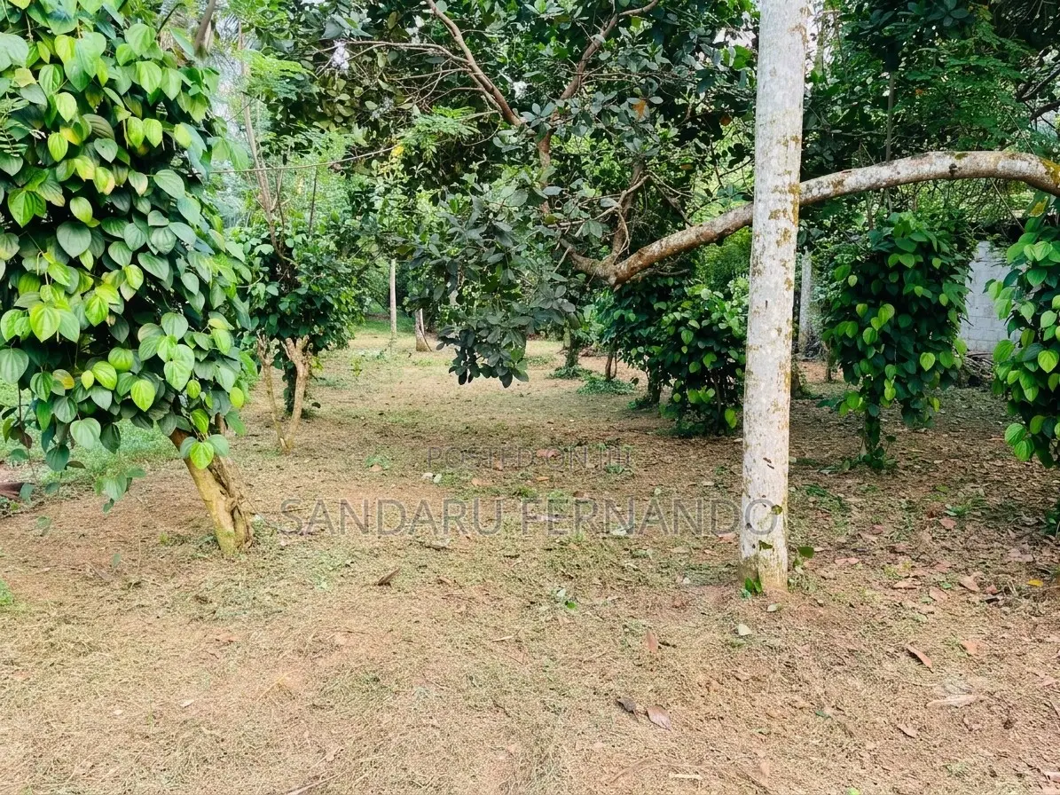 Residential Land for Sale in Hokandara [P399]