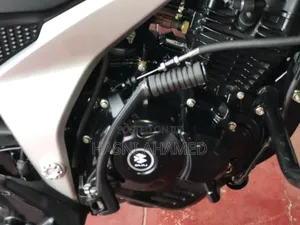 New Bajaj Pulsar 125 2026 Purple